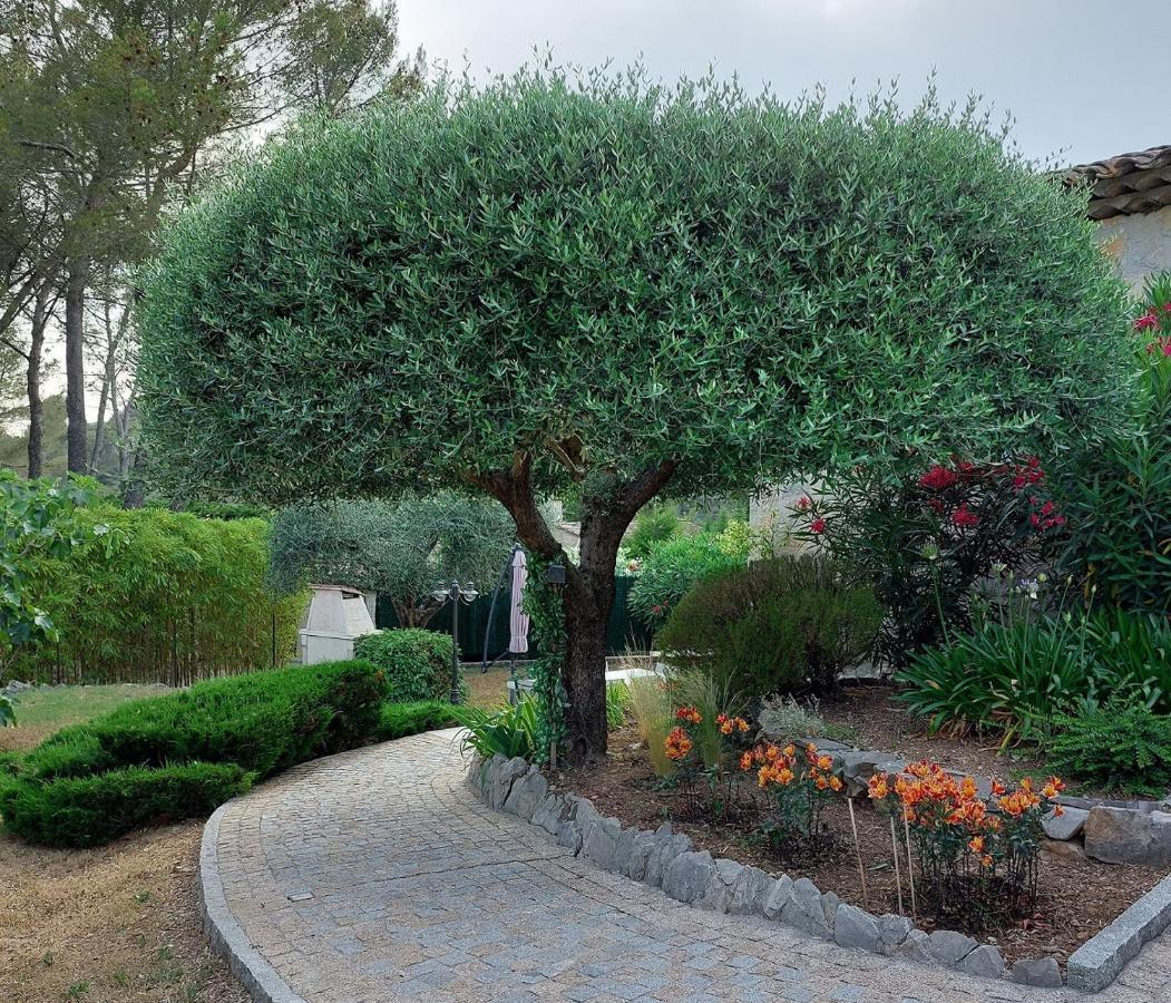 Gite Les Pins Climatise Piscine Chauffee Jardin Peymeinade Buitenkant foto